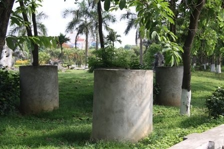 Một cụm khác gồm ba cây được xếp hình tam giác, gần với khu vực Đài Tưởng niệm Liệt sỹ trong vườn hoa Phủ Lý.